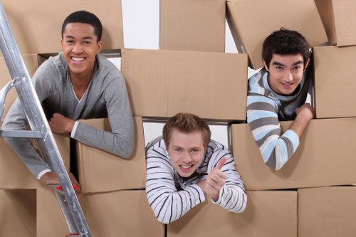 Careful loading of boxes and household items into a van